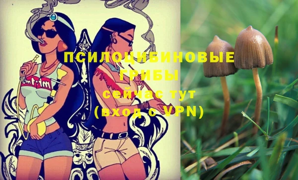 метадон Ивангород
